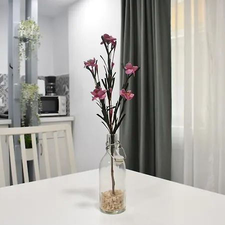 Apartment Estudio - Estudio 1